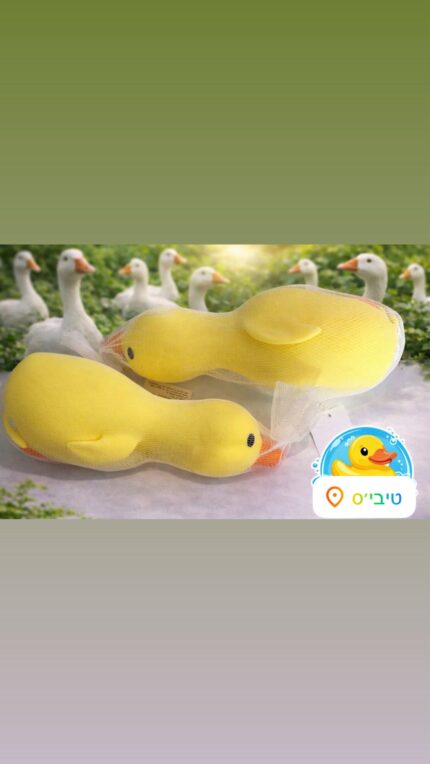 נידו ברווז ענק